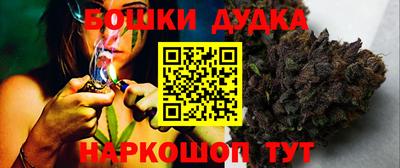 трава Сланцы