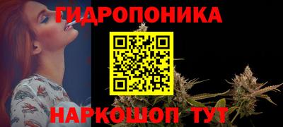 трава Сланцы