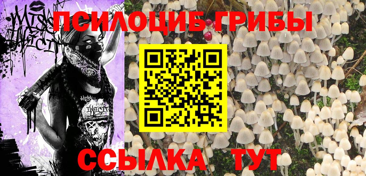 Ревда  Псилоцибиновые грибы Psilocybe  Вход с VPN 