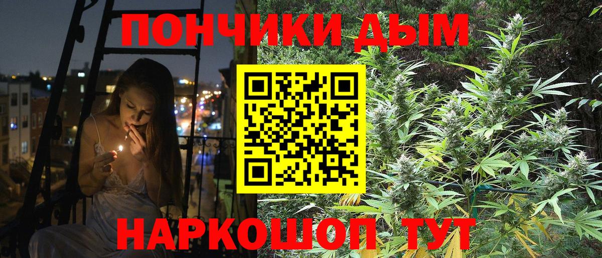 Канабис индика  Марихуана план  МАРИХУАНА Amnesia  Вход с VPN  Бошки марихуана тримм  Ревда 
